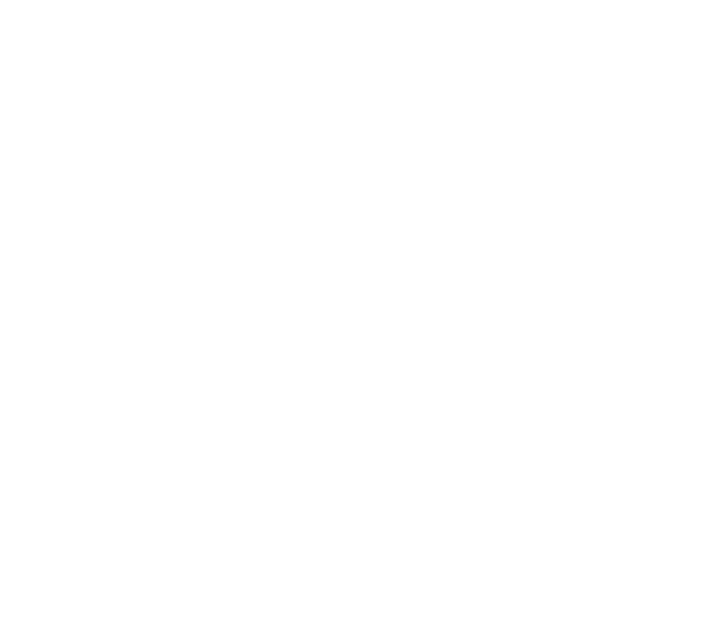 logoSKF